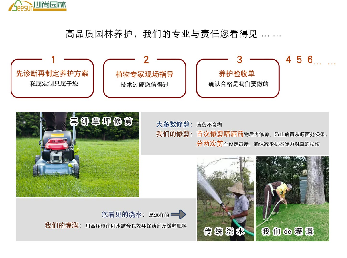 太阳成集团tyc33455cc(中国)有限公司官网