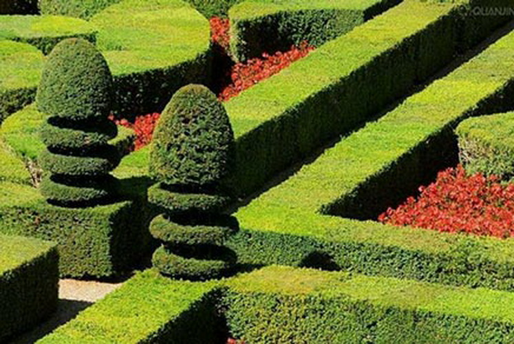 太阳成集团tyc33455cc(中国)有限公司官网