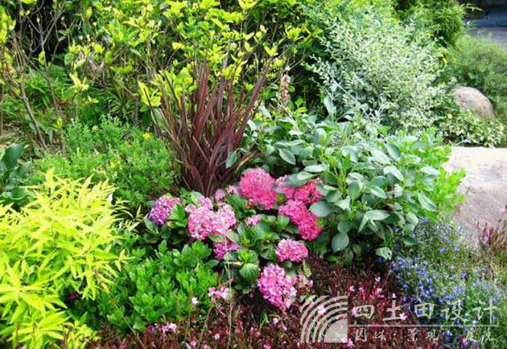 太阳成集团tyc33455cc(中国)有限公司官网