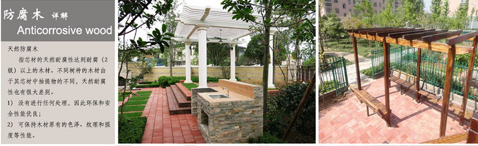 太阳成集团tyc33455cc(中国)有限公司官网