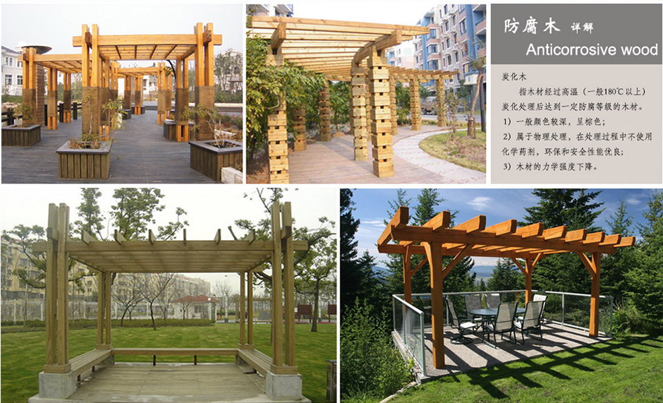 太阳成集团tyc33455cc(中国)有限公司官网