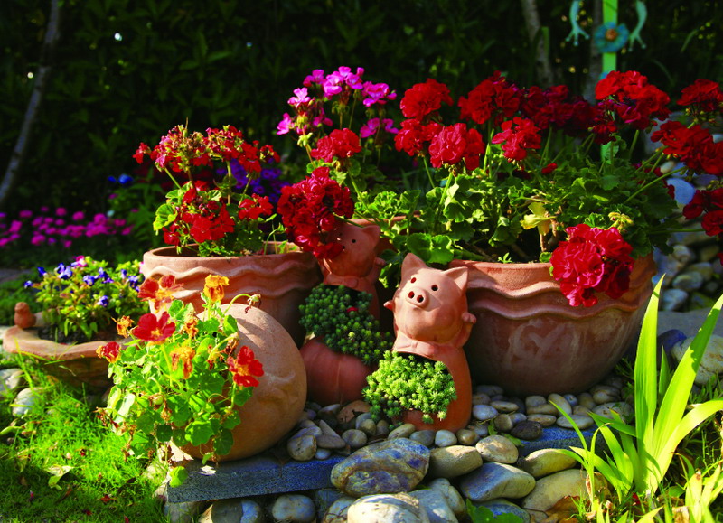 太阳成集团tyc33455cc(中国)有限公司官网