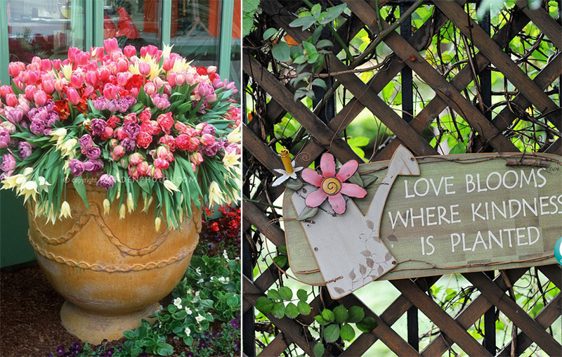 太阳成集团tyc33455cc(中国)有限公司官网