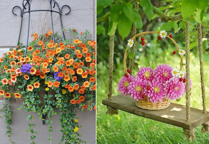 太阳成集团tyc33455cc(中国)有限公司官网