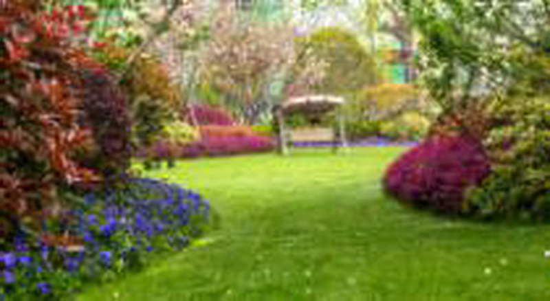 太阳成集团tyc33455cc(中国)有限公司官网