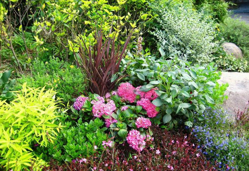 太阳成集团tyc33455cc(中国)有限公司官网