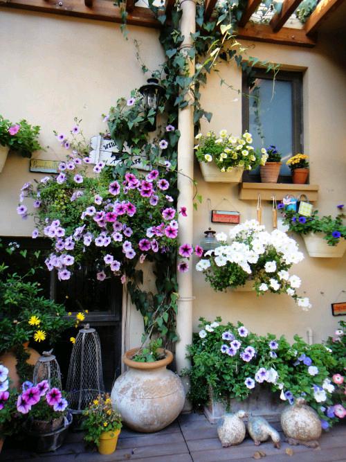 太阳成集团tyc33455cc(中国)有限公司官网